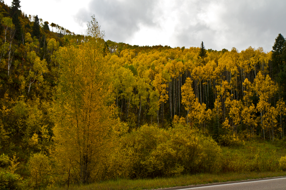Осенние виды штата Колорадо. 24-25 сентября 2012 г.